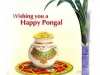 pongal-greeting-messages